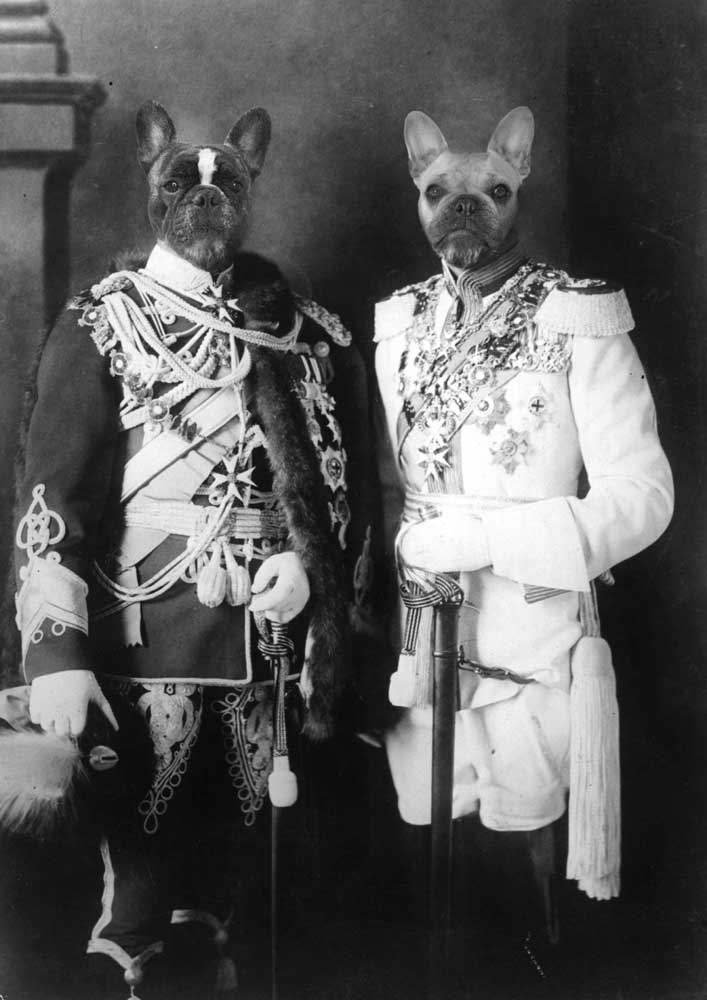 An animorphic creation based on an iconic public domain photograph of Russia's Tsar Nicholas II and England's King George V.